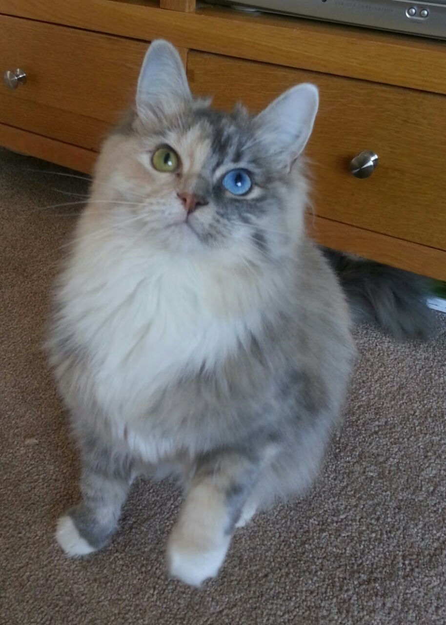 阿尔卡拉斯联合杯英雄到ATP失意人,是团体魔力还是赛季疲惫?