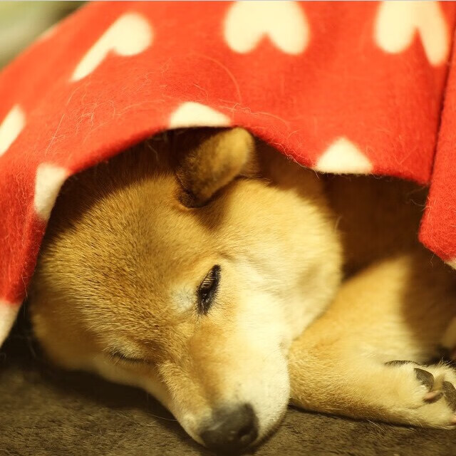 天照后裔的弯刀，久保建英如何用一记摩洛哥式弧线终结马里战象