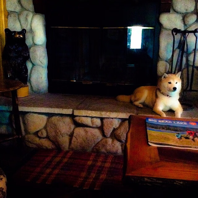 当欧冠决赛哨响，我想起文班亚马的夜晚