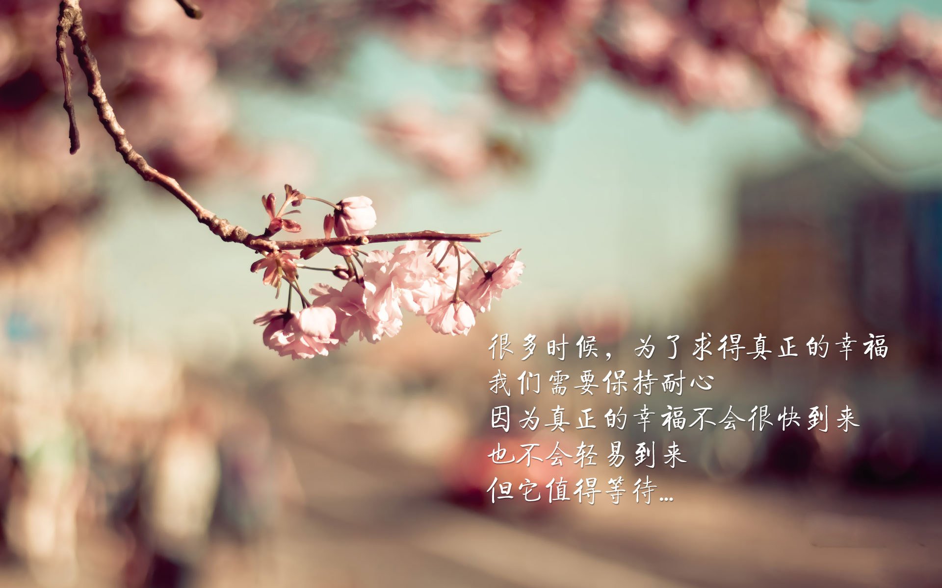 双王登基，国家德比绝杀夜与快船团队篮球的胜利交响