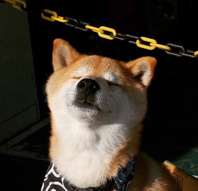 贝恩的逆袭，总决赛夜如何点亮孟菲斯的希望