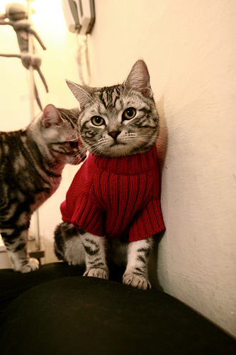 友谊赛惊变！玻利维亚第三节降维打击，曼联防线崩塌，老将皮克成胜负手