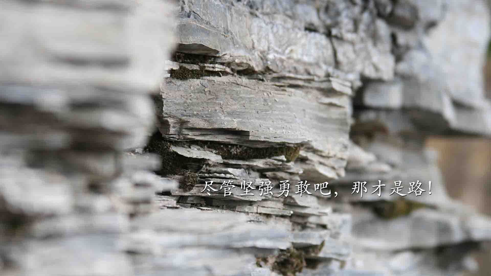 平行宇宙的篮球启示录，当布伦森50分照亮深圳队的铜墙铁壁