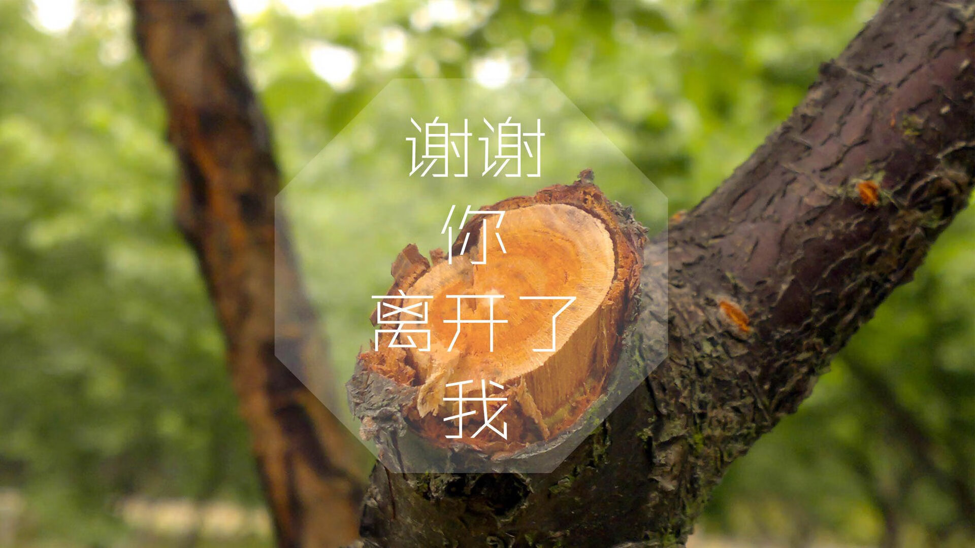 这是一篇为您定制的深度分析文章,围绕您给出的关键词,构建了一个兼具战术深度、戏剧张力和未来前瞻性的叙事