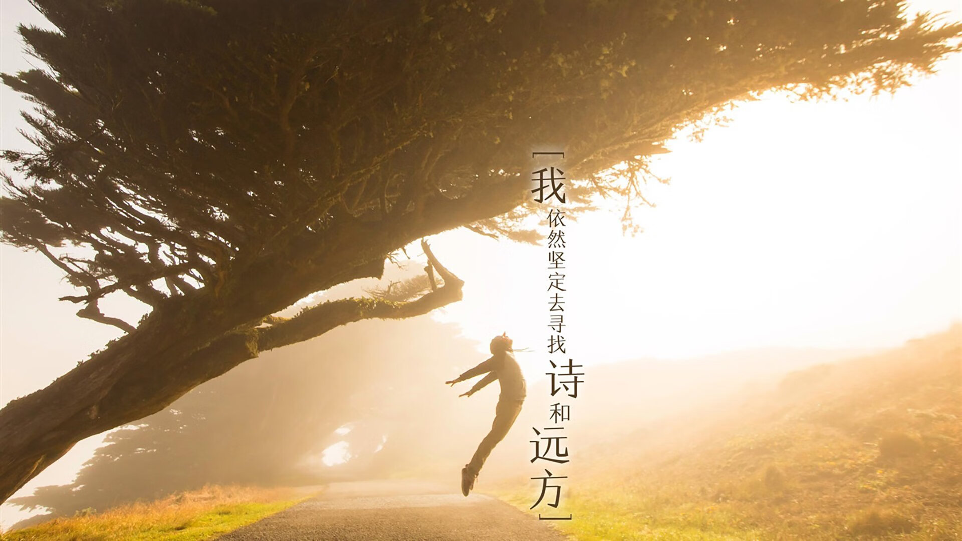 爱游戏入口-荒漠与山巅的碰撞，2026世界杯A组，哥伦比亚用默契撕开摩洛哥铁幕，吉鲁的最后一舞点亮北美夜空