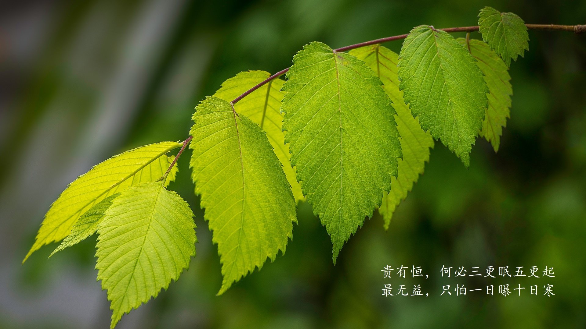 摩洛哥铁壁绝杀哥伦比亚，范戴克铸就2026世界杯A组唯一传奇