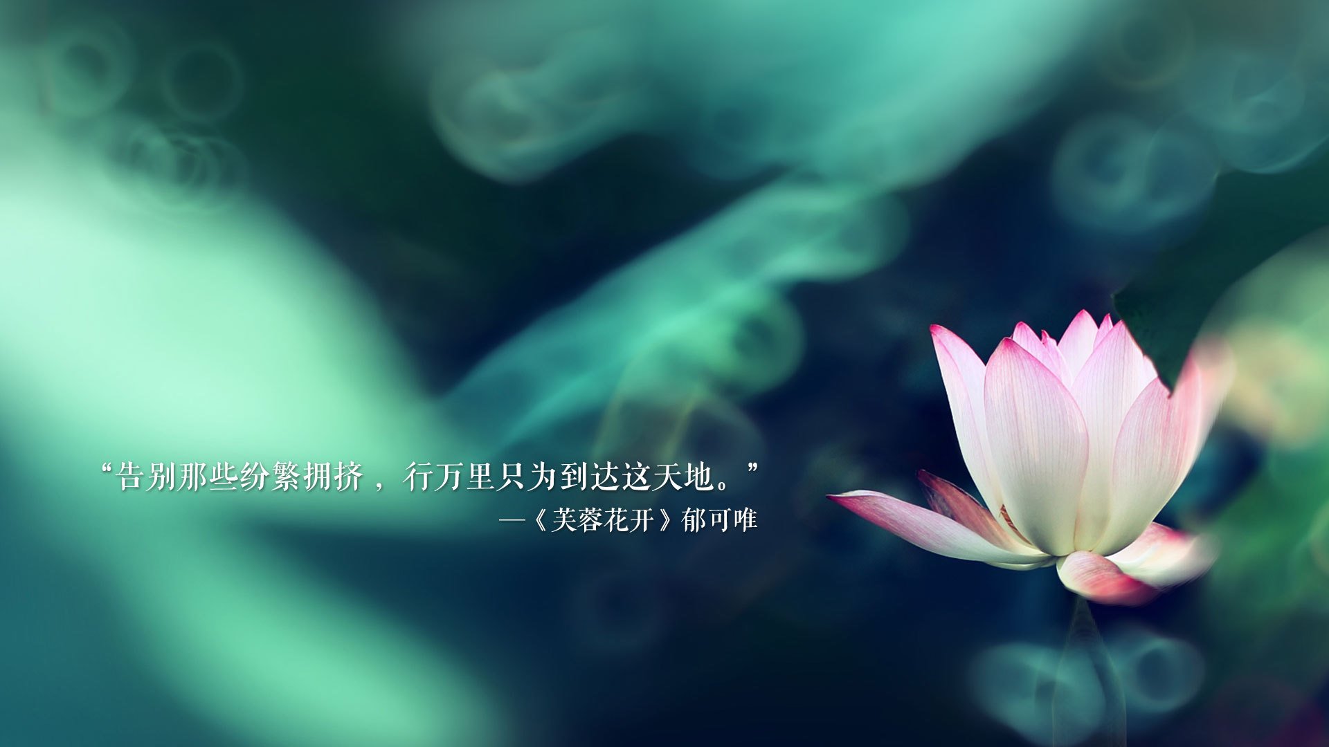 命运之弧,当2026的时钟拨回2018,贝林厄姆的致命一击重写冰岛神话
