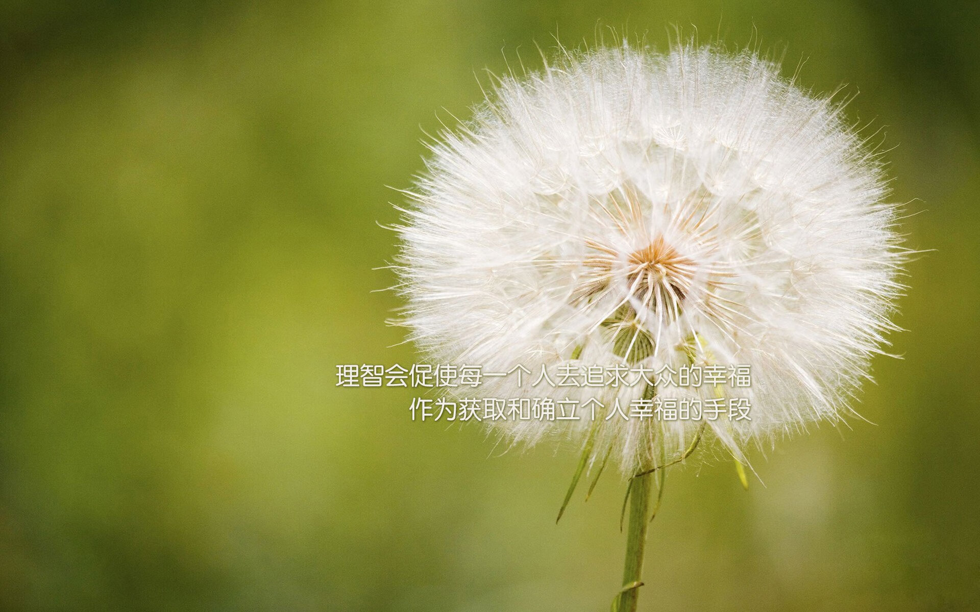 铁壁与锋刃,那场改写命运的积分生死战—当吉鲁引领澳大利亚防线崩塌
