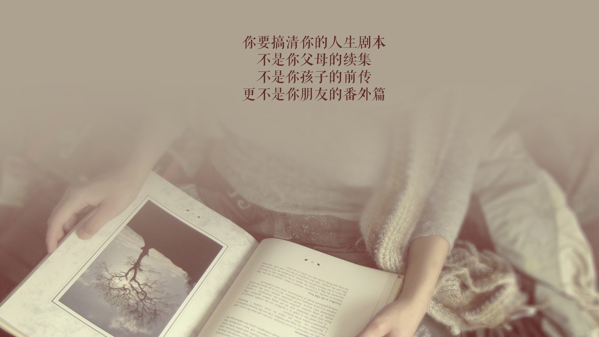 蓝月亮的冰岛寒夜,萨内一剑封喉,比利时在F组死亡之局中写下唯一答案