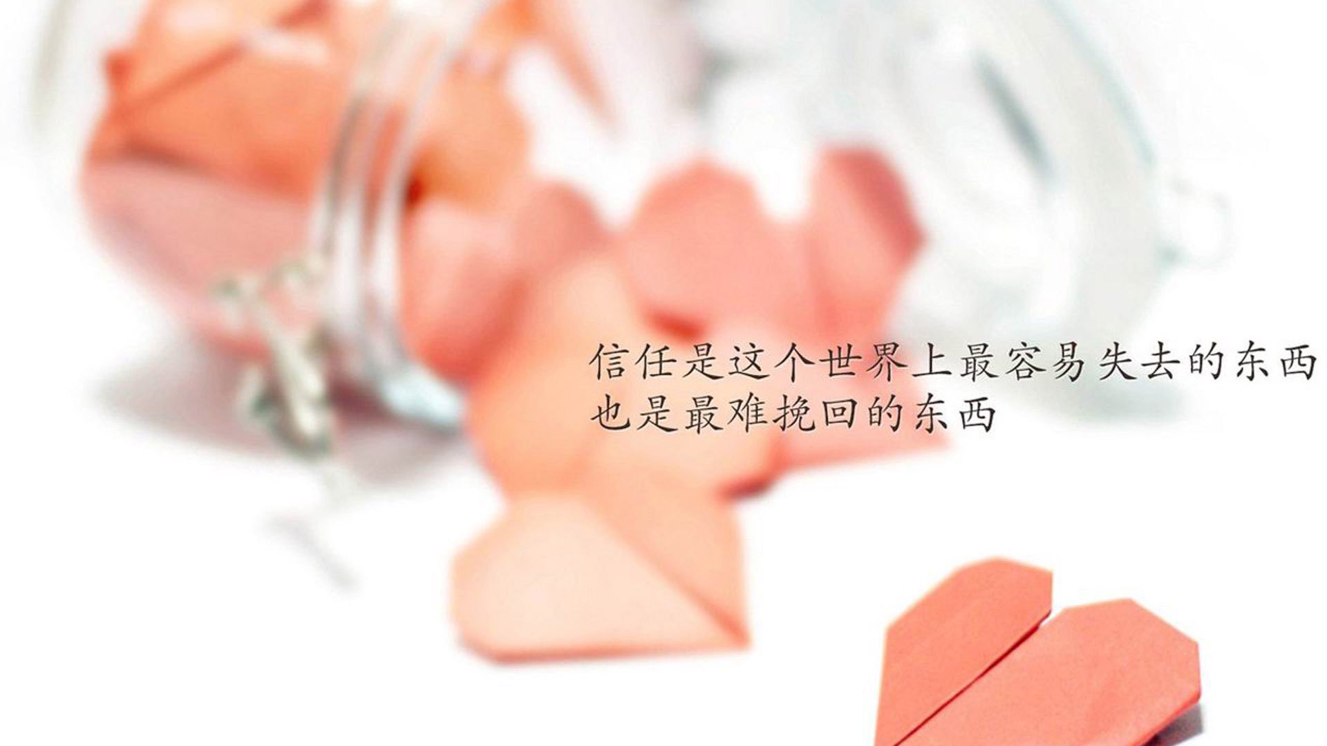 唯一之战,2026世界杯C组强强对话,日本横扫匈牙利,库尔图瓦闪耀全场,节奏掌控成胜负手